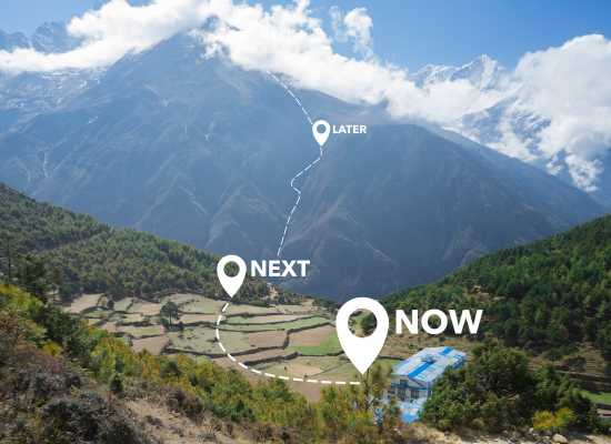 The Complete Freelancing Roadmap for Beginner Programmers