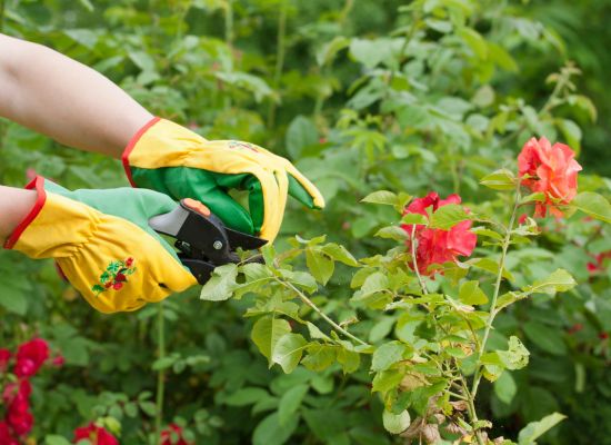 The Power of Pruning: Why Cleaning Up Your Code Is Just as Important as Shipping